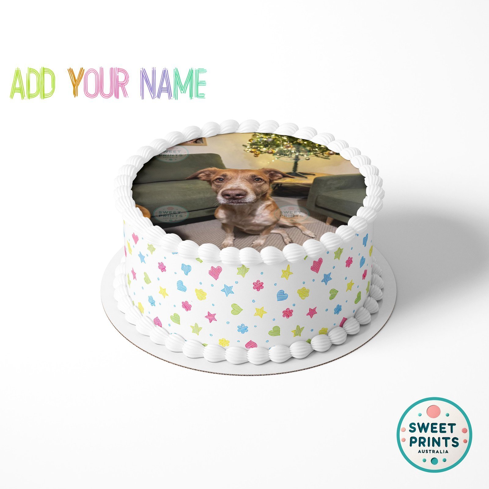 pets custom 0425 2 - Image 2