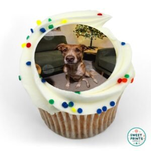 pets custom 0425 2