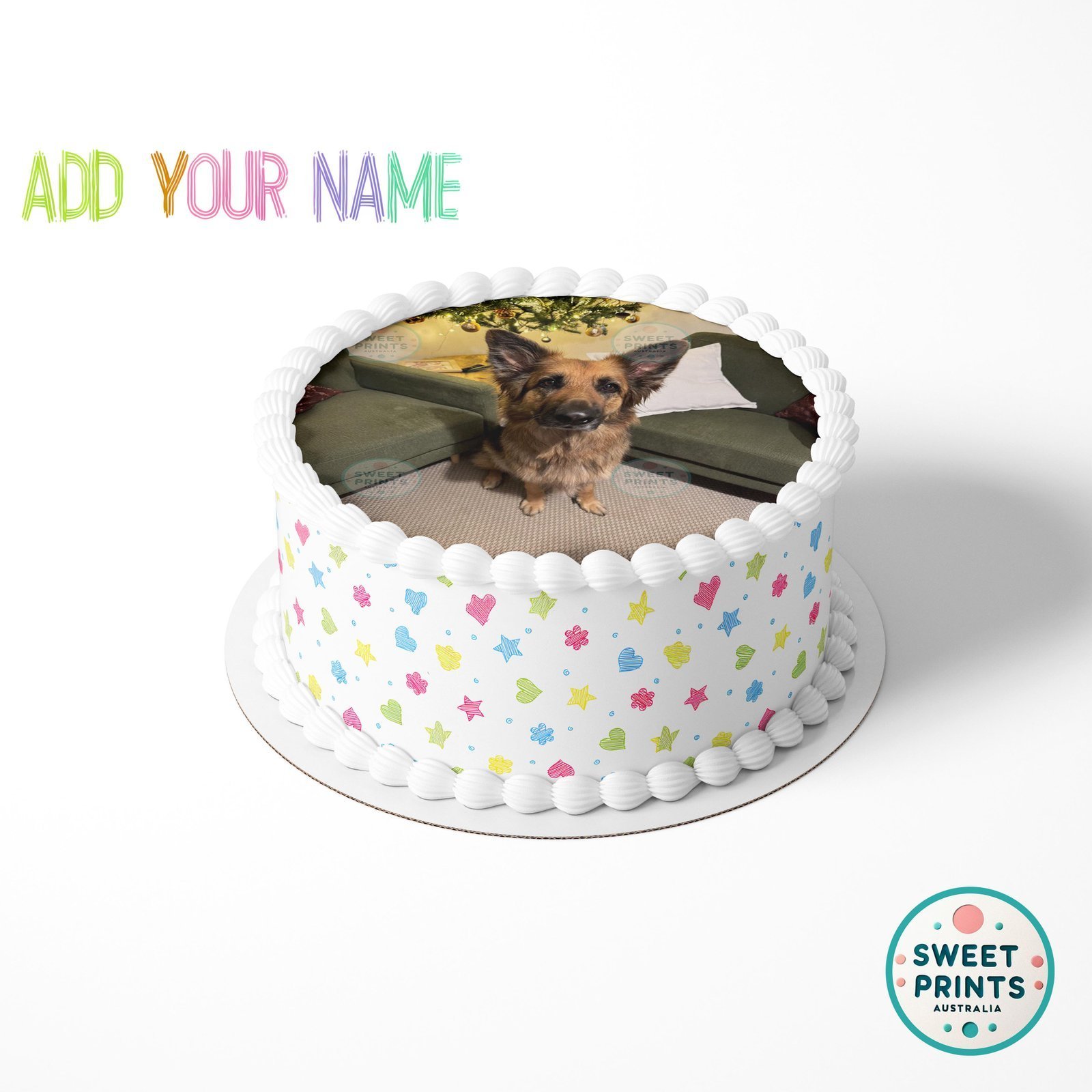 pets custom 0425 3 - Image 2