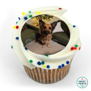 pets custom 0425 3