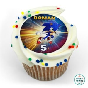 sonic custon22jan2025 o