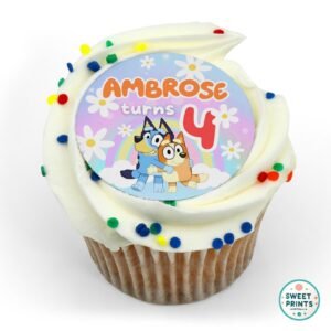bluey & bingo custom 13043 o