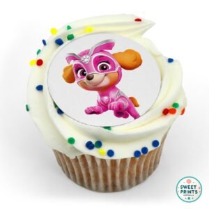 paw patrol mighty pups skye 1 o