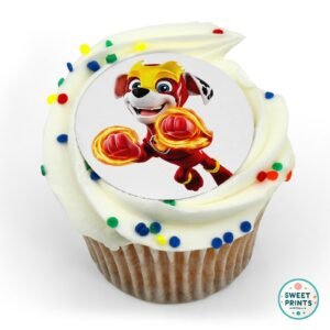 paw patrol mighty pups skye 2 o