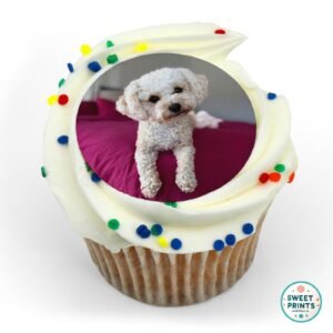 animals pet dog custom 1204 o