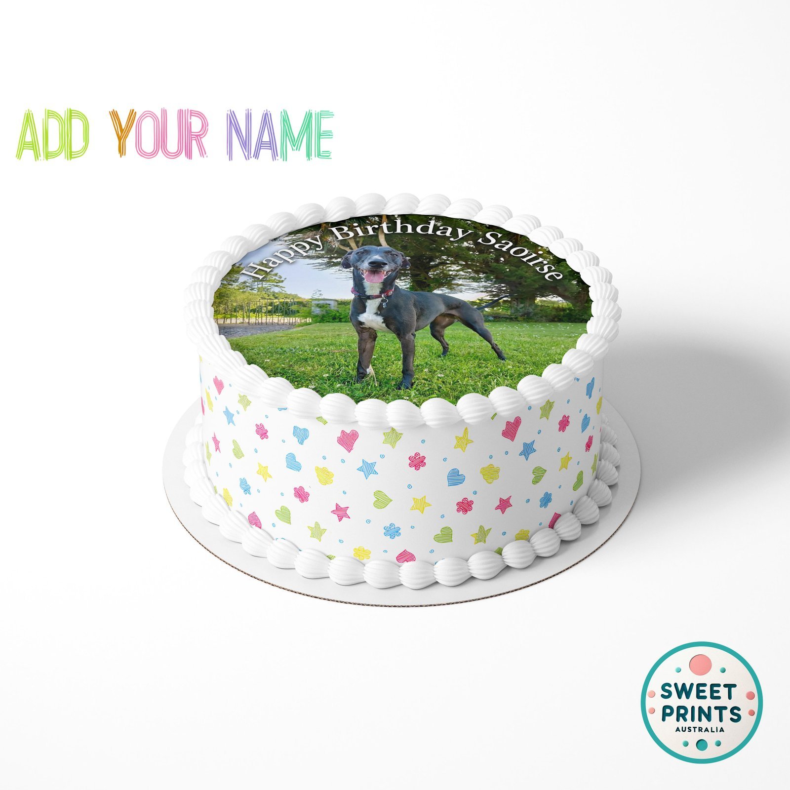 pet custom 2405 o - Image 2