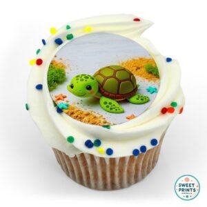 turtle sea creatures 16 o