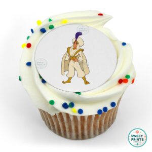 disney princess aladdin as prince ali o