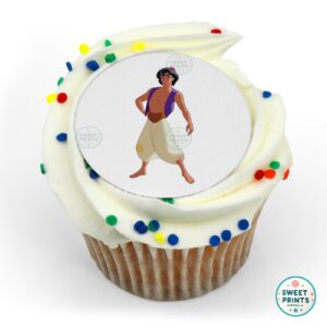 disney princess aladdin o