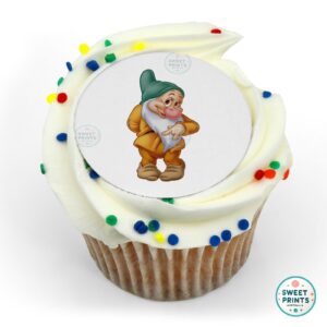 disney princess snow white bashful dwarf o
