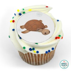 octonauts loggerhead o