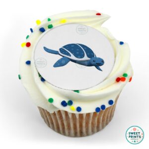 octonauts sandy sea turtle o