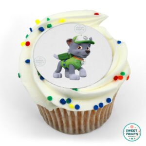 paw patrol rocky o