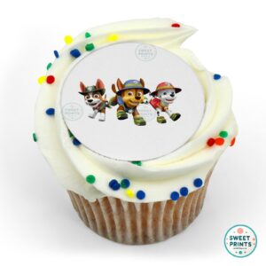 paw patrol o