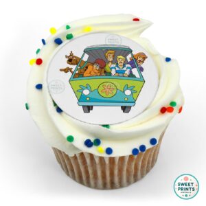 scoobydoo scooby doo gang in van o