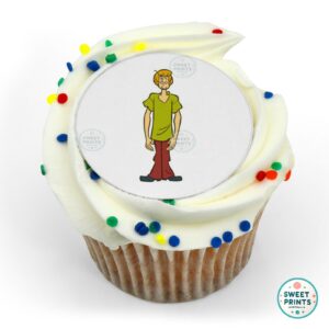scoobydoo shaggy rogers o