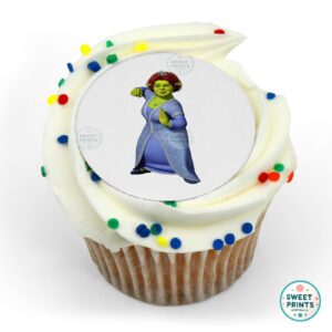 shrek princess fiona fighter o