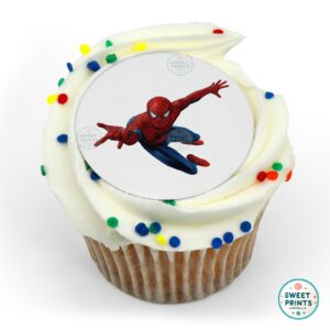 spiderman spider man front o