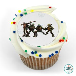 teenage mutant ninja turtles tmnt fighting group o