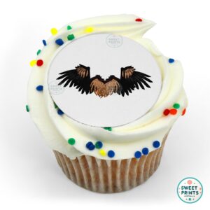 wings black and brown crow o