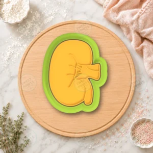 Kidney Cookie Cutter & Stamp