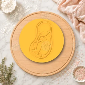 Pregnancy Fetus Cookie Stamp