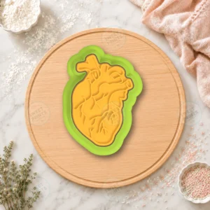 Anatomical Heart Cookie Cutter & Stamp
