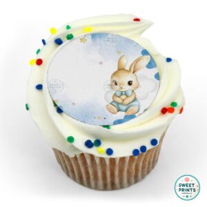 baby shower bunny blue circle o