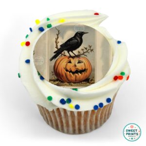 halloween raven pumpkin vintage o