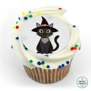 witch black cat purple hat o