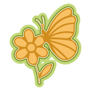 Butterfly on a flower